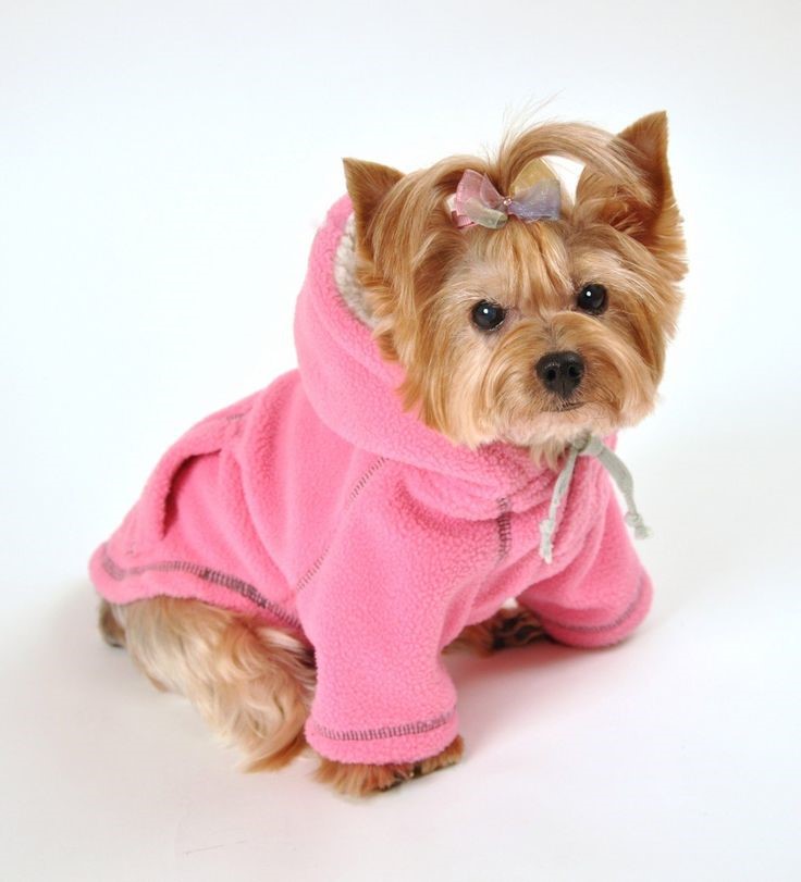 ВНИМАНИЕ!  НОВИНКА!