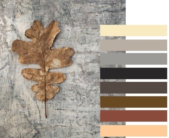 Мы всегда знаем, какие оттенки будут в моде завтра!