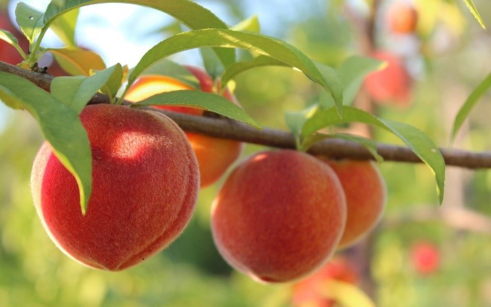 Актуальная новинка! 